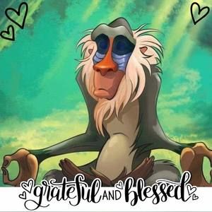 Meet your Posher, Paul